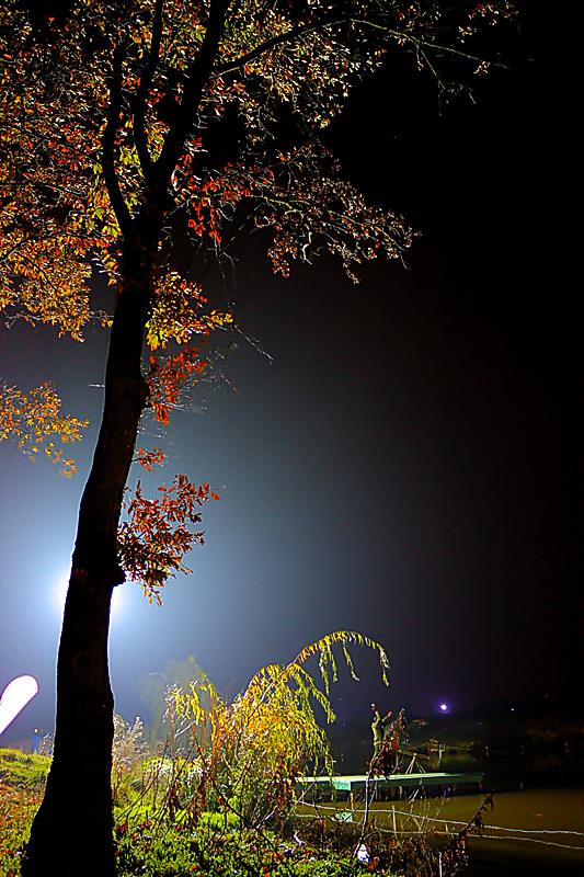 Night-vision-2 - img17888990resize2.JPG